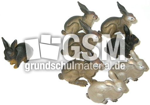 Hasen8-7.jpg